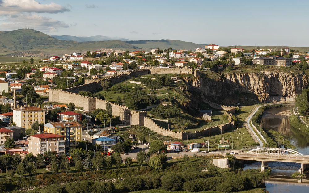 Ardahan — Medsam Sağlık Hizmetleri