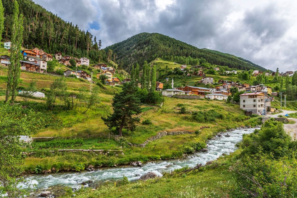 Artvin — Medsam Sağlık Hizmetleri